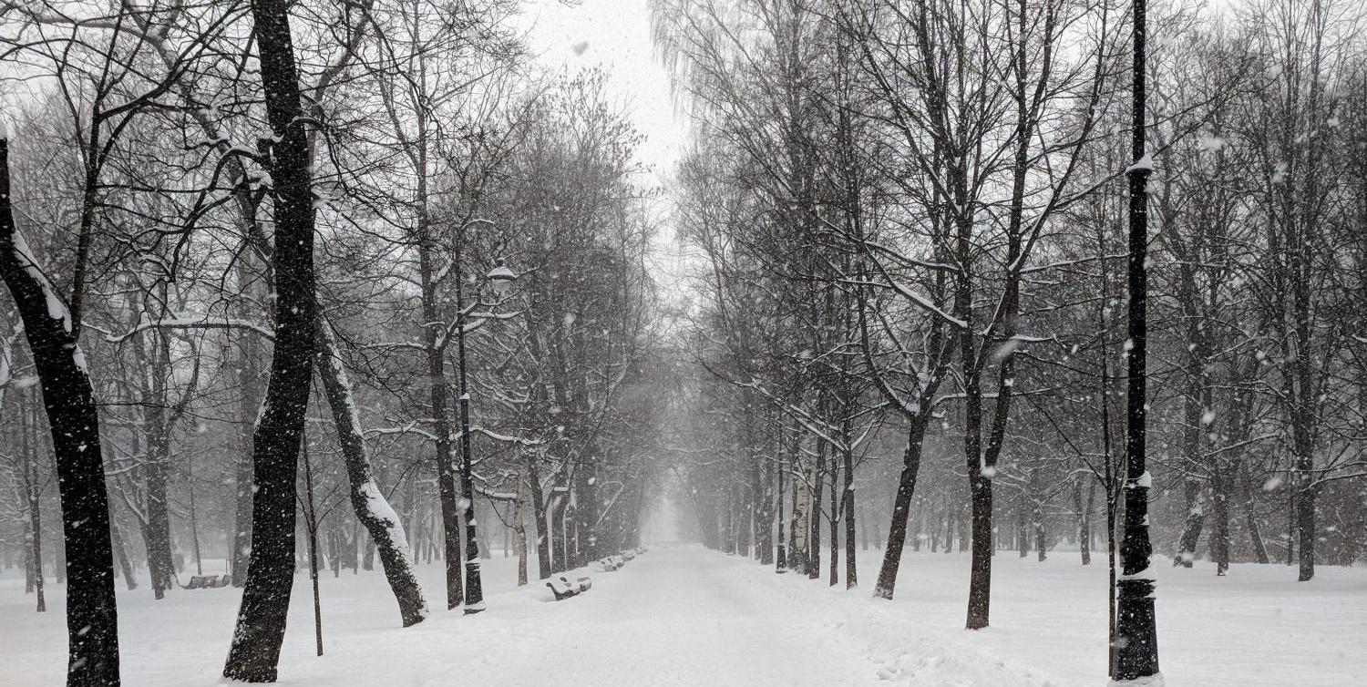 Snow-covered path through a park during heavy snowfall