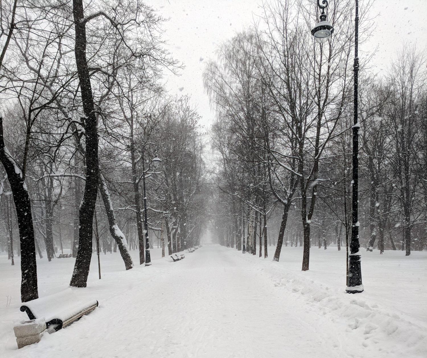 Snow-covered path through a park during heavy snowfall