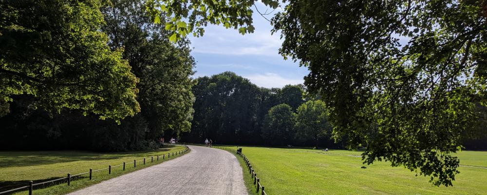 Sunny path through a green park